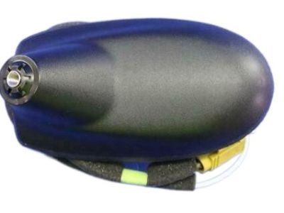 Jeep Antenna - 5091973AC