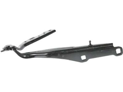 Mopar 55113551AF Hinge Hood