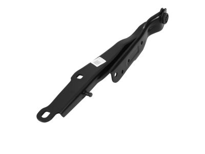 Mopar 55113551AF Hinge Hood