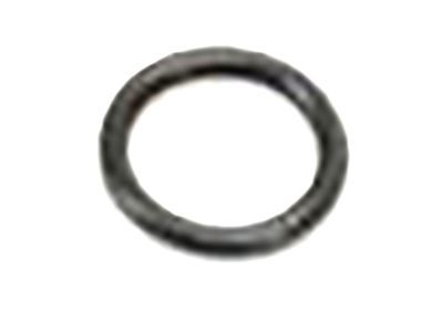 Dodge 68166580AA O RING