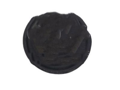 Jeep 55257380AB PLUG