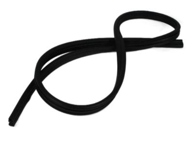 Mopar 55394780AC Weatherstrip Liftgate Glass