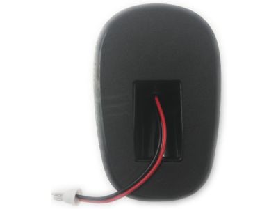 Dodge 55077067AA Roof Lamp Assembly