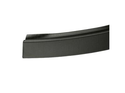 Ram 68311248AD Roof Molding