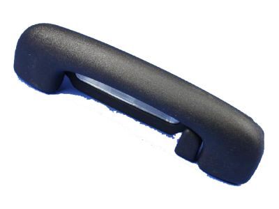 Chrysler 1TN62DX9AC HANDLE Grab