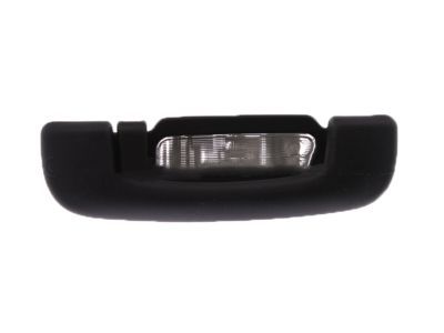 Chrysler 1TN62DX9AC HANDLE Grab