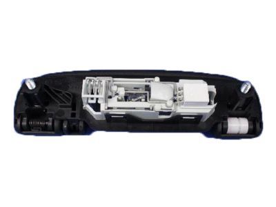 Chrysler 1TN62DX9AC HANDLE Grab