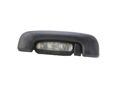 Chrysler 1TN62DX9AC HANDLE Grab