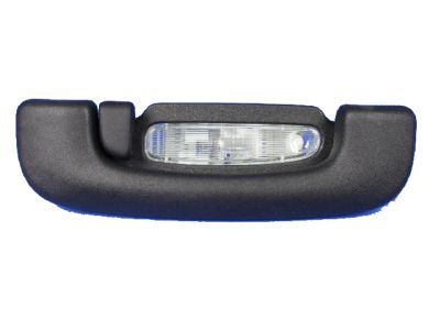 Chrysler 1TN62DX9AC HANDLE Grab