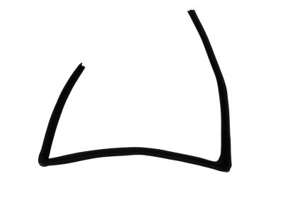 Mopar 5074019AG Weatherstrip Rear Door Flush Glass