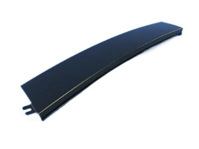 Dodge 4806148AB Applique