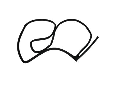 Mopar 55399186AC Weatherstrip Rear Door Opening