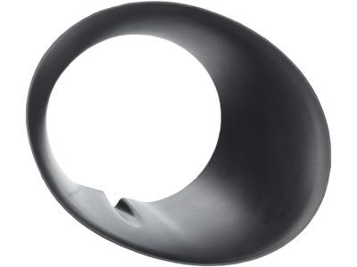 Dodge 55077239AD Bezel