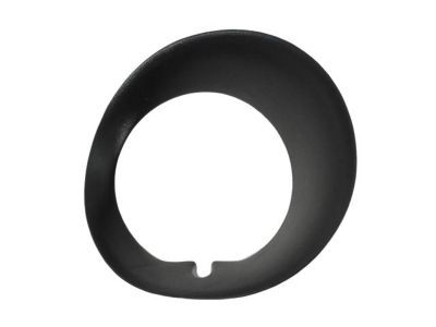 Dodge 55077239AD Bezel
