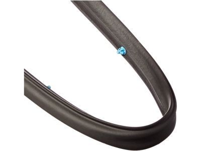 Chrysler Door Seal - 5065991AE