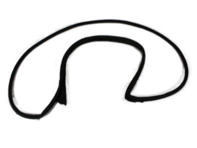 Chrysler Door Seal - 5065991AE