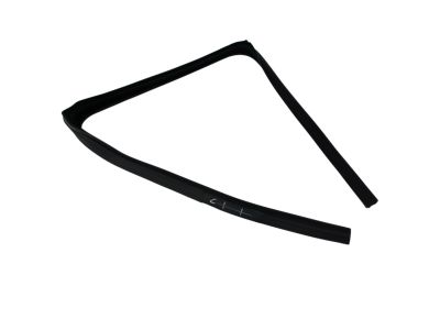 Mopar 55372137AG Seal Rear Door