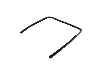 Mopar 55372137AG Seal Rear Door