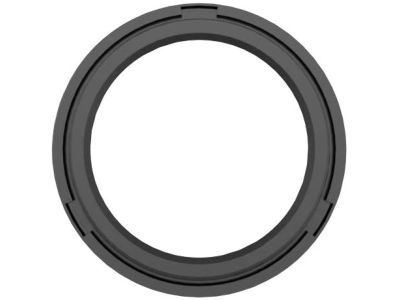 Ram Fuel Injector Seal - 68148333AA