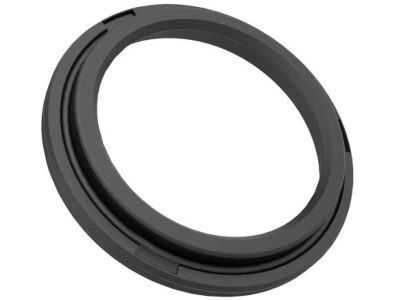 Ram Fuel Injector Seal - 68148333AA