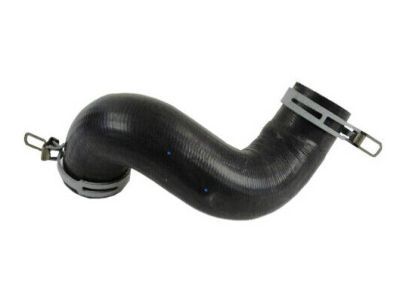 Ram 52029283AF Lower Hose