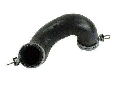 Ram 52029283AF Lower Hose