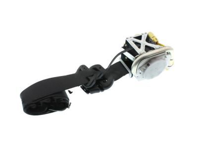 Mopar 5KC661DVAG Outer Belt, Front Passenger Side