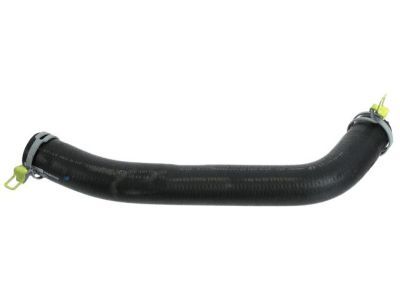 Dodge Durango Radiator Hose - 55038022AB