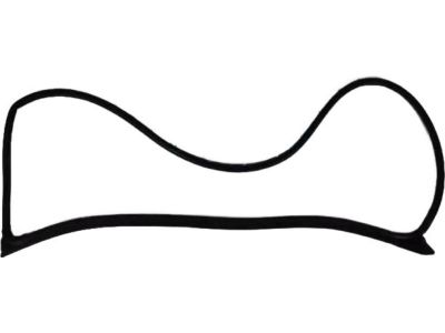 Mopar 5008842AB Weatherstrip Front Door Mounted