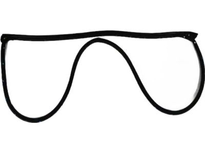 Mopar 5008842AB Weatherstrip Front Door Mounted