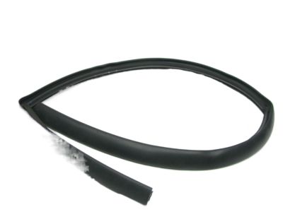 Chrysler Town & Country Door Moldings - 5020498AA