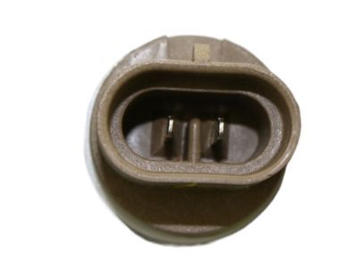 Dodge Fog Light - 5303482AF