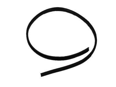 Mopar 5074310AA Weatherstrip Front Door Secondary