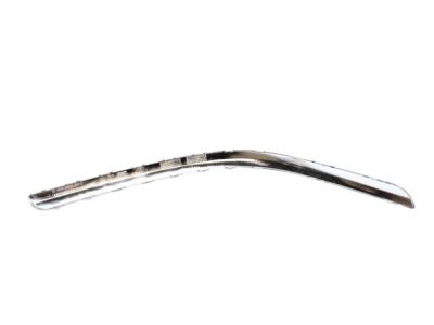 Dodge 5104523AA Side Molding