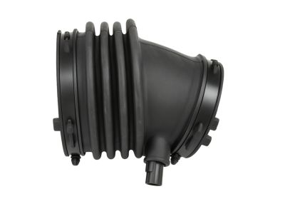 Mopar 5038430AC Duct Clean Air