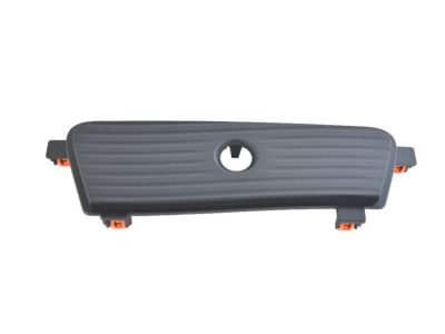 Mopar 5VT74DX9AA Cap Instrument Panel