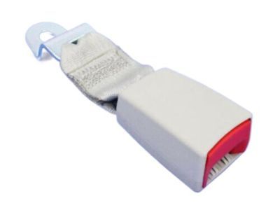 Dodge Grand Caravan Seat Belt - ZV901S3AA