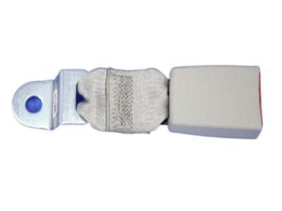 Dodge Grand Caravan Seat Belt - ZV901S3AA