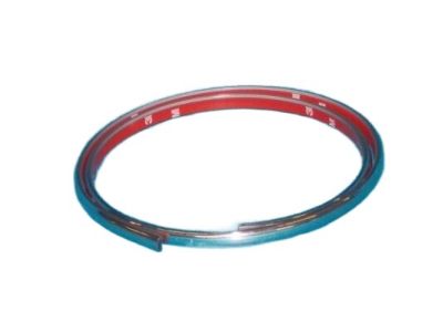 Chrysler 4630423 Insert Strip