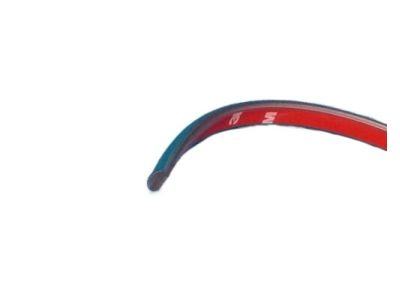 Chrysler 4630423 Insert Strip