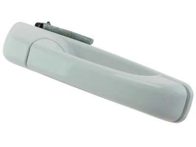 Ram 1GH18GW7AD HANDLE Exterior Door