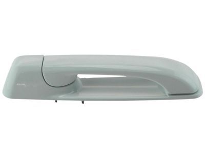 Ram 1GH18GW7AD HANDLE Exterior Door