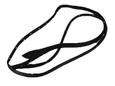 Dodge 55369285AC WEATHERSTRIP Front Door Mounted