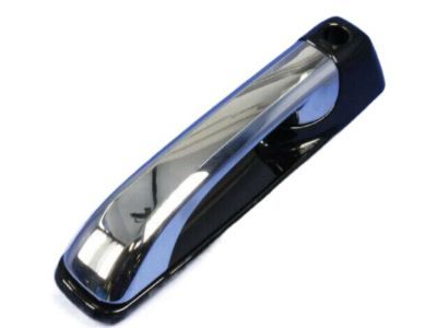 Ram 1GH291XRAJ Handle, Outside