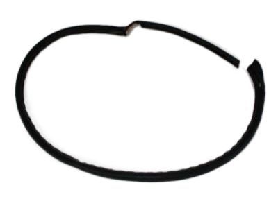 Chrysler PT Cruiser Door Seal - 4724785AC
