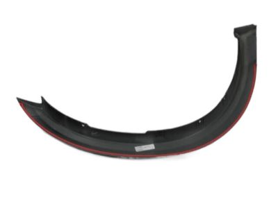 Dodge 1FV91TZZAF Wheel Flare