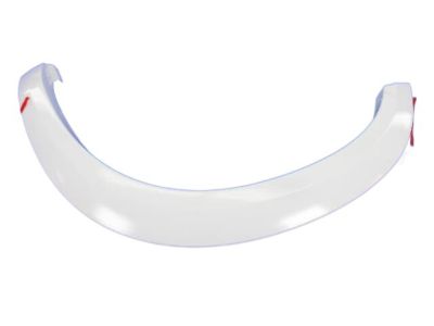 Dodge 1FV91TZZAF Wheel Flare