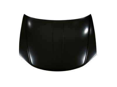 Mopar 5008923AJ Hood