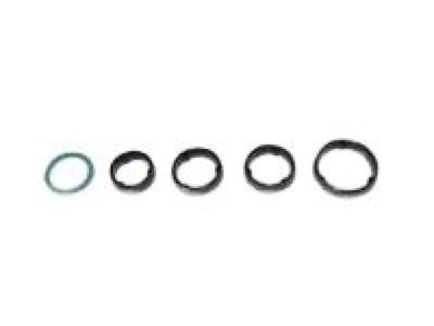Jeep 68125146AA O RING KIT