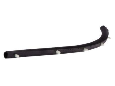 Chrysler 68040043AB Lower Weatherstrip